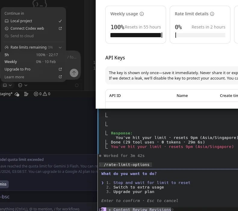 Rate limited everywhere — the universal developer experience
